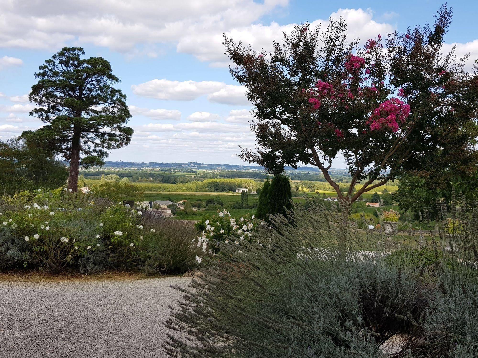 5 Lasserre Moulon-sur-Dordogne Екстер'єр фото